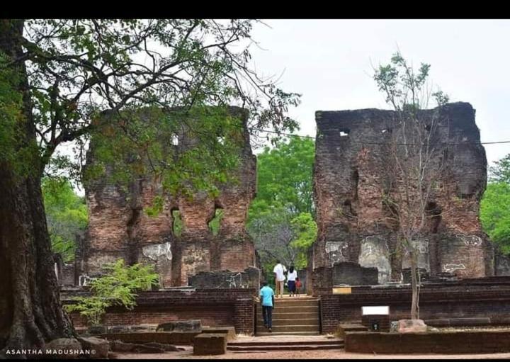 Arani Homestay Polonnaruwa Exteriör bild