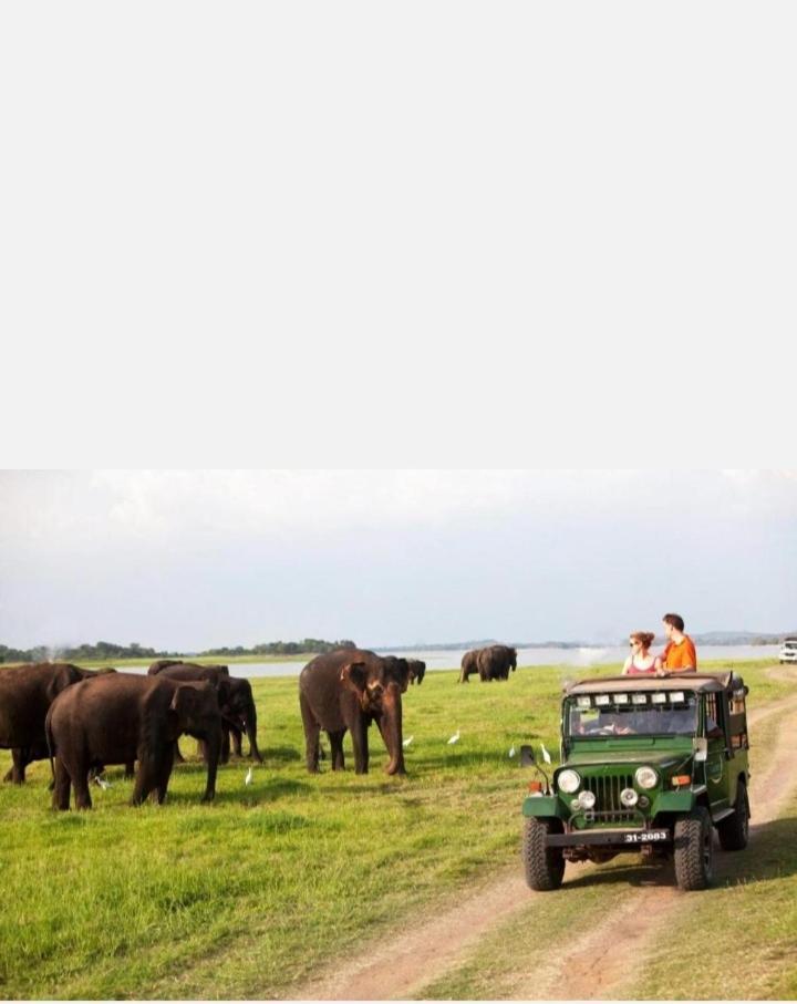 Arani Homestay Polonnaruwa Exteriör bild